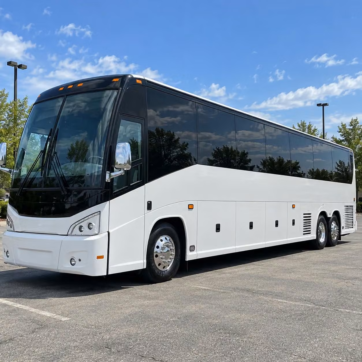 compare prom transportation options in white plains and beyond